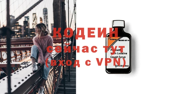 хмурый Гусев
