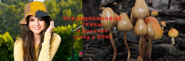 дурь Гусь-Хрустальный