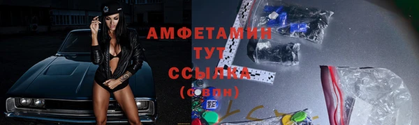 хмурый Гусев