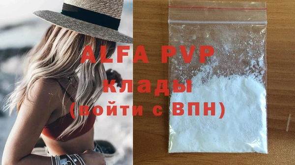 хмурый Гусев