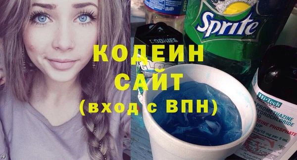хмурый Гусев