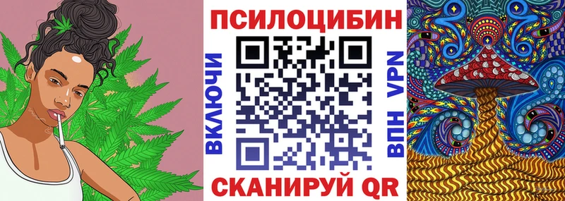 Купить  Магадан  Псилоцибиновые грибы MAGIC MUSHROOMS 